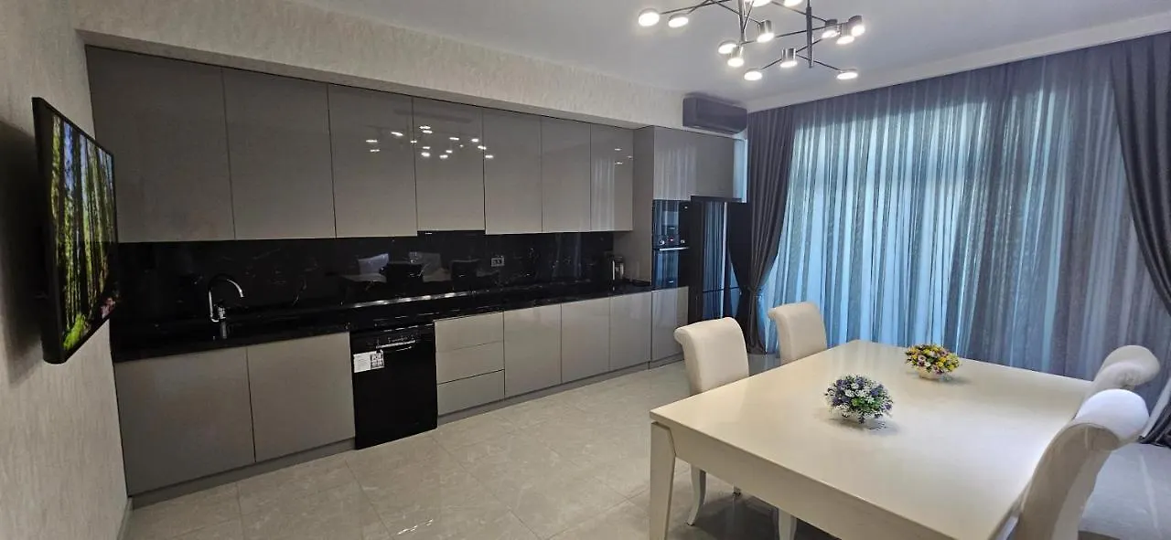 Vip Loft Apartment Baku